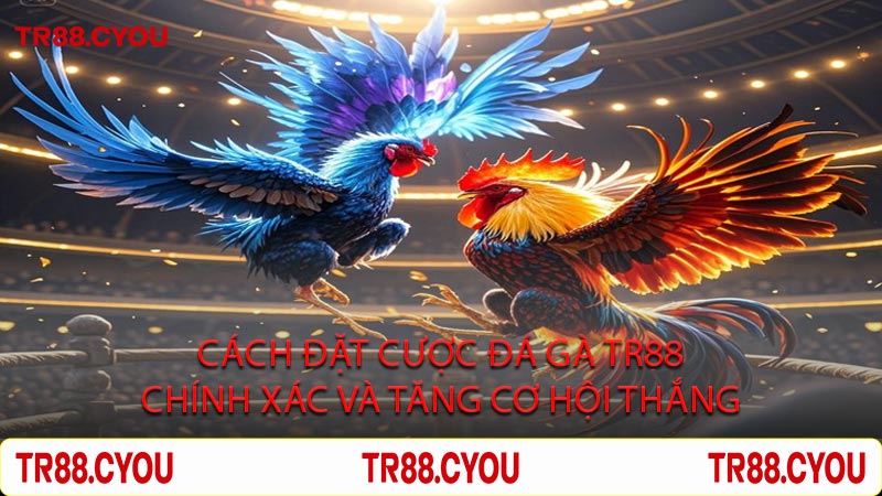 Cách Đặt Cược Đá Gà Tr88 Chính Xác Và Tăng Cơ Hội Thắng