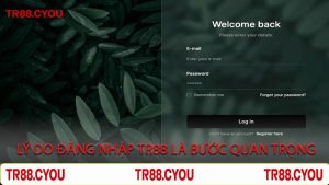 Lý Do Đăng Nhập TR88 Là Bước Quan Trọng