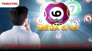 Xổ Số Mega 6/45 Và Cách Chơi Cơ Bản Tại TR88