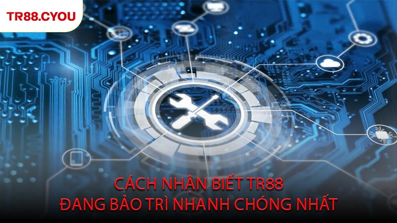 Cách Nhận Biết TR88 Đang Bảo Trì Nhanh Chóng Nhất
